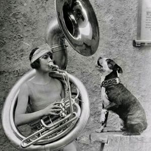 Meet your Posher, Bruce